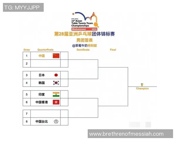 广州乒乓球队在世锦赛中的状态与表现全面分析与点评