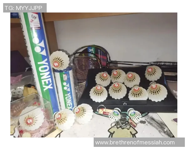 南京羽毛球队在钻石联赛中的拼搏历程与荣耀时刻回顾