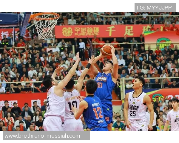 杭州篮球队在欧锦赛中的精彩表现与状态分析