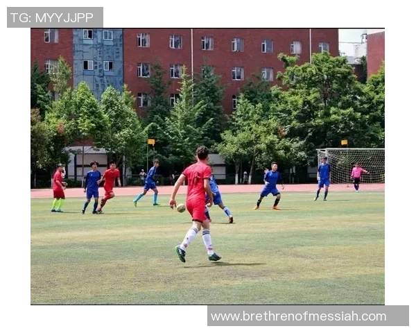 上海篮球队边路渗透战术解析与实战应用探讨