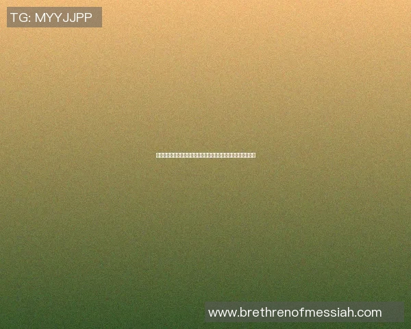 深圳排球队的比赛经验变革引发热议探索新战略与战术的结合之路